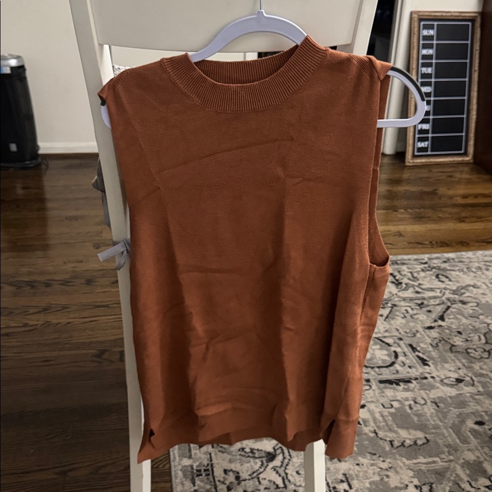 Eesome Terracotta Sleeveless Knit Top